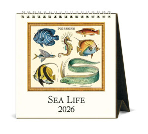 2026 Sea Life Desk Calendar (015432) 2026 Sea Life Desk Calendar (015432)