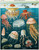 Jellyfish Puzzle | 1000 pieces Jellyfish Puzzle | 1000 pieces