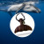 Sea Shepherd Whale Tail Necklace Sea Shepherd Whale Tail Necklace