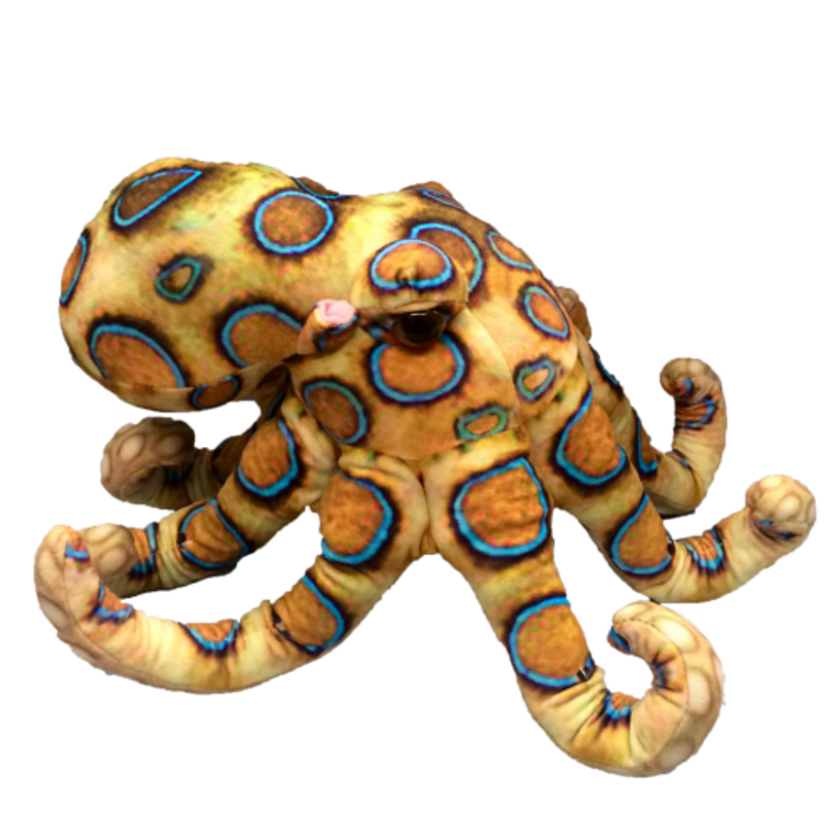 Blue Ring Octopus Plush Toy (015162)