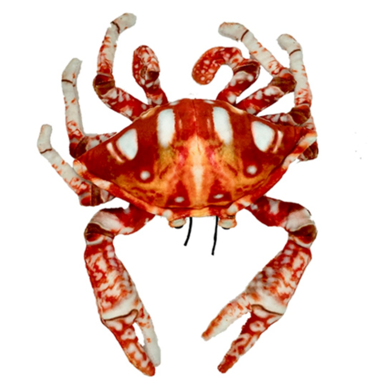 Crab Plush Toy (015159) 