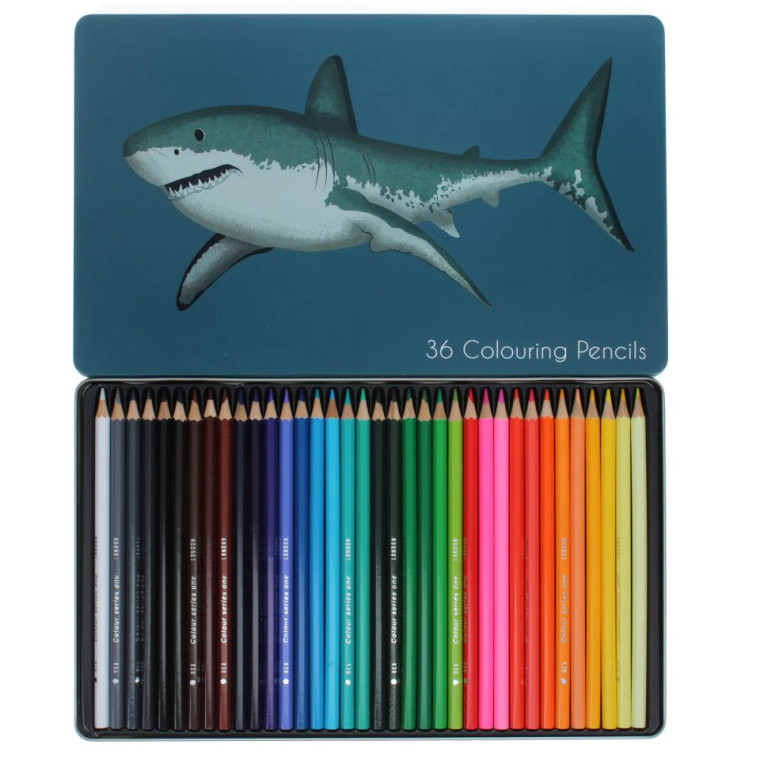 36 Colouring Pencils - Shark (2202)