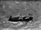 Vintage Ladies Double Sculls Photograph