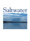 Saltwater II - Sea Country Paintings