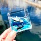 Water Cube Paperweight - HMAS Vampire & HMAS Onslow (7772)