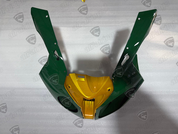 2009 2010 2011 2012 2013 2014 BMW S1000RR British Racing Green cowling 2009 2010 2011 2012 2013 2014 BMW S1000RR British Racing Green cowling