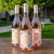 Dolce & Gabbana Rose Wine DOC