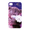 Photo Finish Me to You Bear Iphone 4 Cover