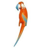 INFLATABLE PARROT 48CM
