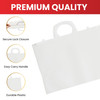 A4+ Clear Carry Folder – 180 Micron Poly Wallet with Handle & Clip Lock for Documents and Artwork