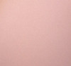 Pack Of 10 High Quality Place Cards (Powder Pink Colour)