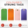 Box of 1000 Orange Strung Tags 120mm x 60mm