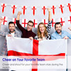 England St George Bunting 5m with PVC 12 Flags