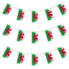 Wales Bunting 10m with 20 Flags