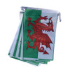 Wales Bunting 10m with 20 Flags