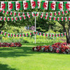 Wales Bunting 10m with 20 Flags