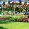 France Bunting 10m with 20 Flags
