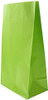 Pack of 12 Lime Green Paper Party Bags