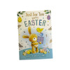 Just For You Rabbit And Chicks Design Open Easter Card