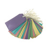 Pack of 1000 Assorted Pastel Colour 120x60mm Strung Tags