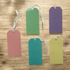 Pack of 1000 Assorted Pastel Colour 120x60mm Strung Tags
