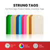 Pack of 10 Assorted Pastel Coloured Strung Tags 60 x 120mm