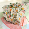Daisy Bouquet 3D Pop Up Greeting Card - Mother's Day Birthday Anniversary