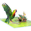 Exotic Wishes Parrot in Bloom 3D Pop Up Greeting Card - Birthday Mother Anniversary Valentine's Day