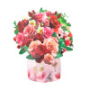 Blushing Blooms Rose Bouquet 3D Pop Up Vase Greeting Card