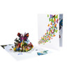 Wings of Wonder Colorful Butterfly 3D Pop Up Greeting Card