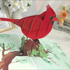 Red Cardinal Charm 3D Pop Up Greeting Card - Mother's Day Birthday