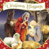 Pack of 10 Religious Nativity Christmas Boxed Cards - Holiday Greeting Cards, 2 Designs with Envelopes