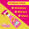 Elbow Grease Glass Cleaner Spring Blossom 500ml