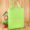 Pack of 25 Light Green Coloured 30x38x10cm Non-Woven Bags with Handle