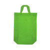 Pack of 25 Light Green Coloured 35x41x12cm Non-Woven Bags with Handle
