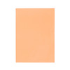 Pack of 8 A4 Plain Peach Dyslexia Overlay Reading Sheets – PET Material, Rounded Corners