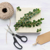 Pack of 18 Cotton Twine Rolls 9 Ply 30g Per Roll for Crafting and Packaging