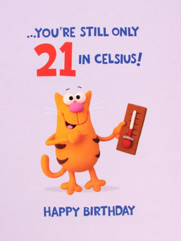 Hanson White 70 Today Birthday Card - Ginger Cat 8.25" x 5.25" Code 344455--1