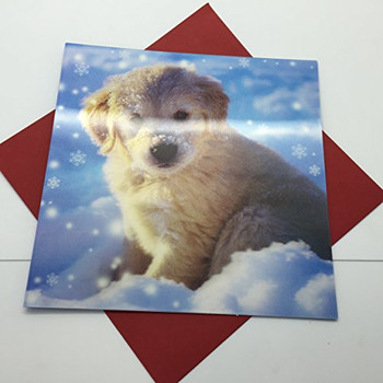 3D Holographic Up Close PUPPY IN SNOW Christmas Greeting Card