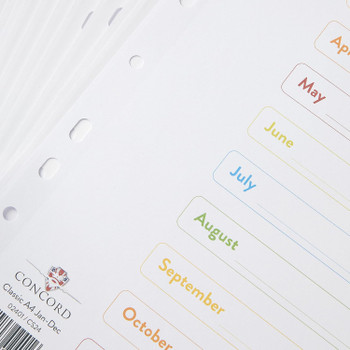 Jan-Dec A4 White with Multicoloured Tabs Concord Index