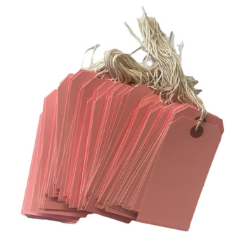 Box of 1000 120 x 60mm Light Pink Luggage Tags