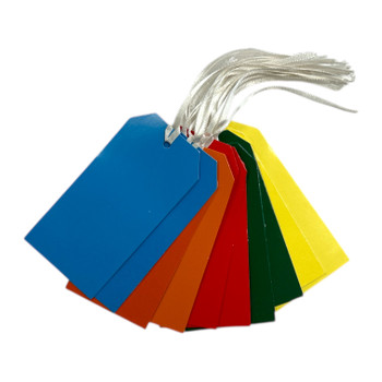 Pack of 10 Assorted Bright Colour 120 x 60mm Strung Tags