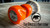 Punkin - EVO