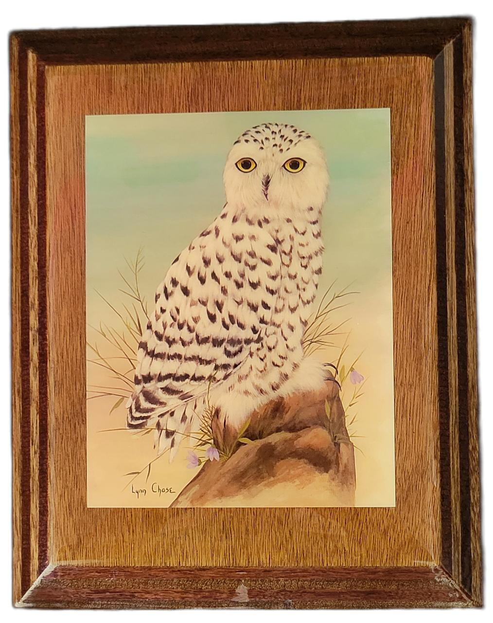 lynn-chose-snowy-owl-by-lynn-