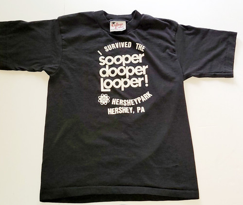Vintage HersheyPark I Survived the Sooper Dooper Looper Childs T-shirt (L 14 - 16)
