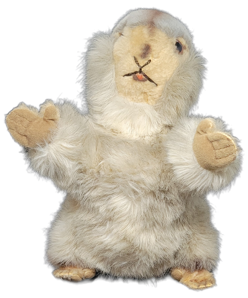 Vintage Steiff Molly Piff marmot/groundhog/woodchuck 12-inch stuffed animal Made in Austria. Molly Piff is officially label a marmot but is also referred to as a groundhog or woodchuck. Moll was produced between 1976 and 1990. Measuring 30 cm (about 12 inches) in length, it features long shaggy fur, a standing pose, and a classic Steiff button in its ear.