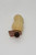 Unknown Vintage Plastic Peanut Candy Container, retro peanut-shaped plastic candy container in beige color with a black screw cap and a brown label.