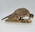Female Ring-necked pheasant figurine that features her with her chicks.  She is preparing to feed one while the other is hiding under her. The figurine is by Andrea by Sadek.  