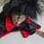 Gemmy 24 Inch Hanging Animated Vampire, spooky Halloween decoration with realistic vampire figure, green glowing eyes, black wild hair, sharp teeth, red and black cape, and detailed facial features.
