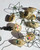 Unknown Vintage Indoor Christmas Tree Lights with Scene Covers, decorative string lights with miniature Christmas scene covers inside egg-shaped shells, holiday decor accessories.